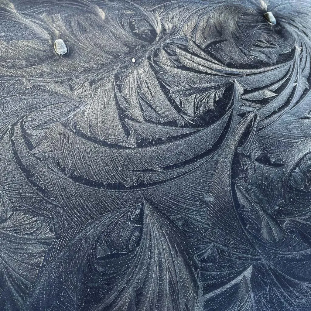 IMG_2847_SnapseedCopysmall